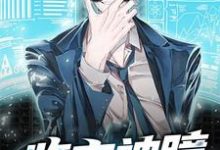完结版《鉴宝神瞳》章节阅读-干果文学