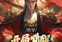 快穿:开局觉醒无上帝王系统小说最新更新在哪里?免费在线看-干果文学