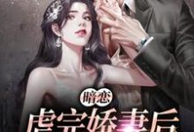暗恋:虐完娇妻后,总裁火葬场了(阮流苏斯见微)在线免费阅读-干果文学