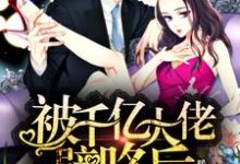完结版《被千亿大佬壁咚后,我以牙还牙》章节阅读-干果文学