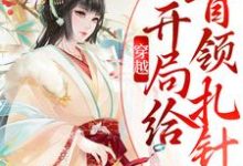 穿越:开局给首领扎针小说的免费阅读版本在哪里可以找到?-干果文学