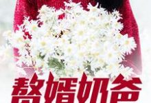 赘婿奶爸(潘伟林若然小茜宝)在线免费阅读-干果文学