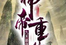 在线寻找叶尘林家叶清逸的小说,神帝重生:九天最强赘婿免费阅读-干果文学