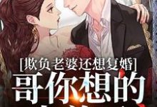 寻找欺负老婆还想复婚,哥你想的太美了小说的最新更新章节-干果文学