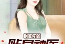 美女的贴身神医小说的所有章节都能在哪里免费读到?-干果文学