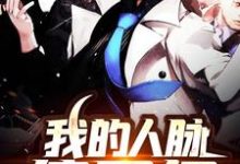 完整版的我的人脉值万亿小说在哪里可以免费读到?-干果文学