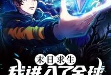 梁书宇梁文静小说《末日求生:我进入了全球断电时代》在线阅读-干果文学