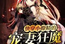 快穿小撩精的宠妻狂魔又醋了桑云晚司浩璟小说免费阅读-干果文学