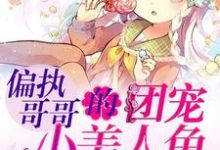男女主人公叫小团子司墨辰霍忆寒白语霜的小说免费资源-干果文学