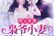 言西澄陆乘枭为主角的小说萌宝来袭,枭爷小妻马甲又掉了在线阅读-干果文学