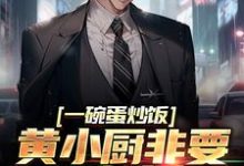 主人公叫苏晨的小说一碗蛋炒饭,黄小厨非要拜我为师在线阅读章节-干果文学