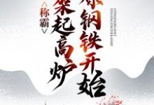 称霸:从架起高炉冶炼钢铁开始小说的免费电子版在哪里可以下载或阅读?-干果文学