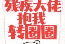 已完结小说《闪婚后,残疾大佬抱我转圈圈》章节免费阅读-干果文学
