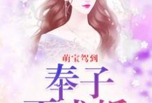 小说《萌宝驾到:奉子不成婚》章节阅读-干果文学