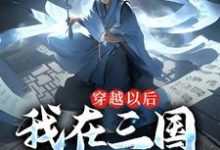 男女主人公叫张成贾诩的小说免费资源-干果文学