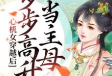 苏晚沈阶小说叫什么(心机女穿越后,步步高升当主母免费阅读)-干果文学