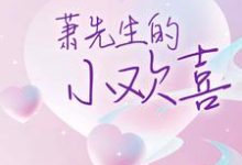 萧先生的小欢喜许菀萧靖川,萧先生的小欢喜最新章节-干果文学