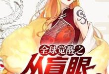 已完结小说《全球觉醒之从盲眼剑客开始》章节在线阅读-干果文学
