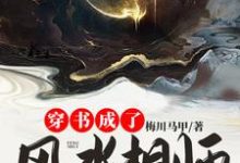 穿书成了风水相师他师父小说最新更新在哪里?免费在线看-干果文学