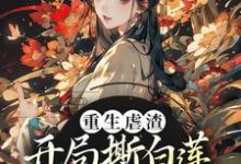 重生虐渣!开局撕白莲、斗奸人这本小说怎么样?免费在线阅读试试-干果文学