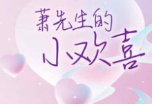 完结版《萧先生的小欢喜》章节阅读-干果文学