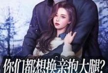 免费阅读叶语念秦海洋为主角的小说,你们都想换亲抱大腿?那糙汉我要了在线看-干果文学