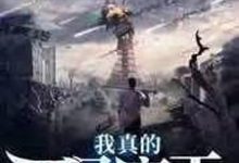 我真的不是魔王免费阅读,我真的不是魔王张阿肆公输离-干果文学