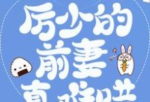 豪门弃妇:厉少的前妻真难哄免费阅读,豪门弃妇:厉少的前妻真难哄章节目录-干果文学