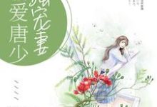 沈千卉唐少睿小说在哪里可以看-干果文学