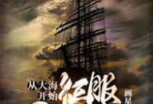哪里能找到从大海开始征服世界小说的全部章节?-干果文学