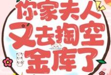 王爷!你家夫人又去掏空金库了这本小说怎么样?免费在线阅读试试-干果文学
