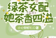 季眠为主角的小说好看吗?求快穿之绿茶女配她茶香四溢免费试读-干果文学
