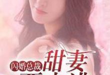 闪婚总裁:甜妻要出逃小说,闪婚总裁:甜妻要出逃章节在线阅读-干果文学