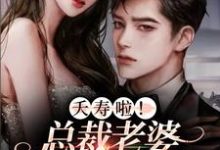 哪里能找到夭寿啦！总裁老婆原来是我自己小说的全部章节？-干果文学