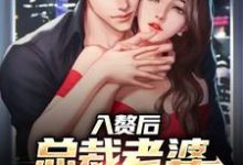 完结版《入赘后,总裁老婆心爱白月光》章节阅读-干果文学