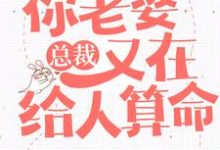 主人公叶紫鸢君凌渊小说总裁,你老婆又在给人算命在线章节阅读-干果文学