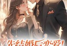 哪里可以免费读到姜晚笙时宴礼的完整故事?寻找先结婚后恋爱!不婚总裁心动了-干果文学