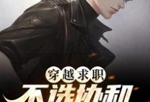 穿越求职!不选协和,我选轧钢厂小说全文哪里可以免费看?-干果文学