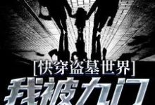 快穿盗墓世界,我被九门宠上天小说的免费阅读版本在哪里可以找到?-干果文学