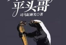 已完结小说《转生:开局成了平头哥》最新章节-干果文学