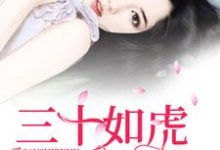 三十如虎小说有没有完结版在线?-干果文学