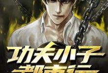 功夫小子都市行最新章节,功夫小子都市行免费阅读-干果文学