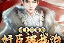 当上皇帝后,奸臣被我治的心服口服小说,当上皇帝后,奸臣被我治的心服口服最新章节-干果文学