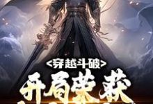 穿越斗破:开局荣获大主宰系统这本小说怎么样?免费在线阅读试试-干果文学