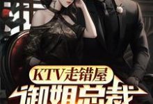 求KTV走错屋,御姐总裁反锁房门小说免费资源-干果文学