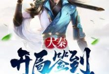 主人公叫嬴政陆羽秦王政卧槽大秦的小说哪里免费看-干果文学