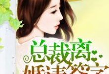 哪里能找到总裁,离婚请签字小说的最新更新和免费章节?-干果文学