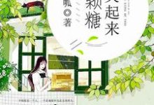 你笑起来像颗糖这本小说怎么样?免费在线阅读试试-干果文学