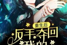重生后,反手夺回我的贵人命格小说,重生后,反手夺回我的贵人命格免费阅读-干果文学