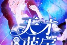 天才萌宝俏妈咪这本小说完结了吗?免费查看最新章节-干果文学
